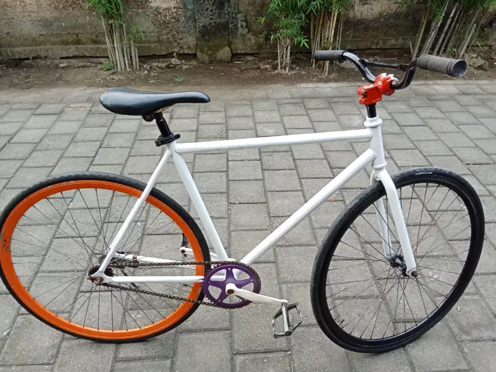 Sepeda fixie normal