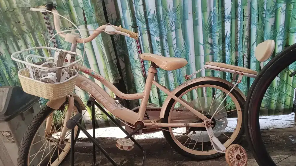 Sepeda anak centrum 12