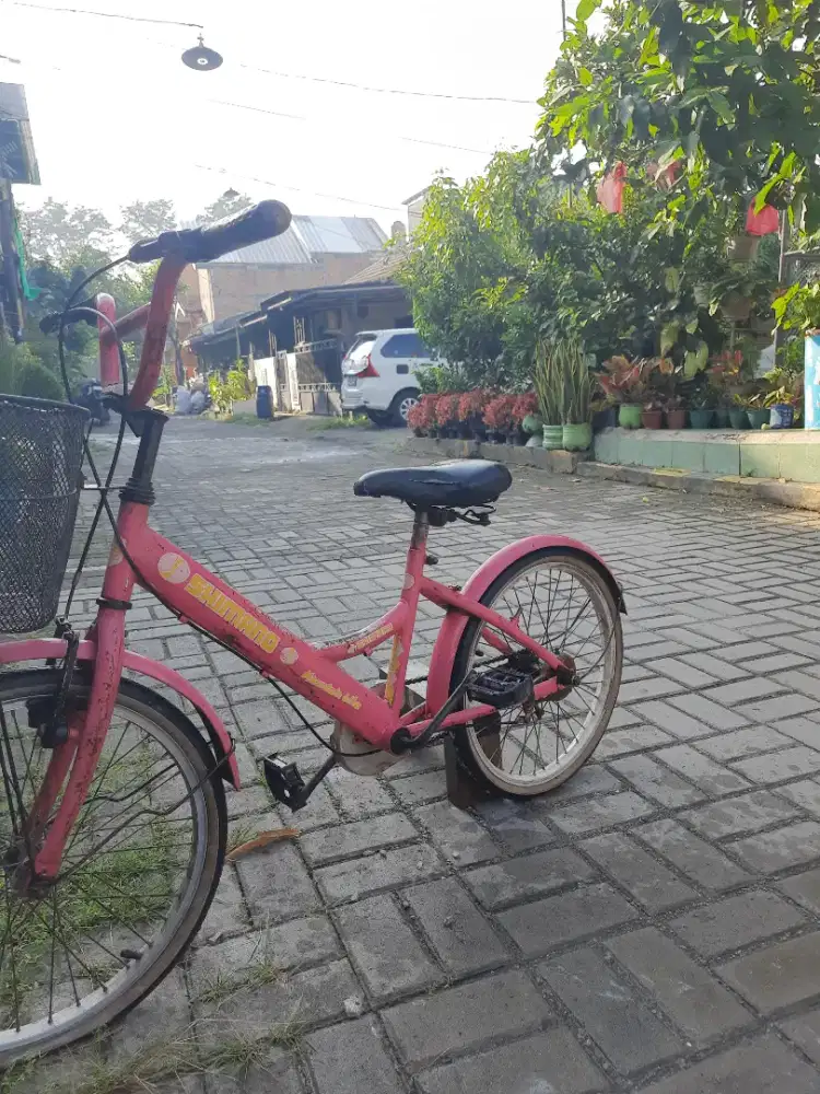 Sepeda anak murah meriah