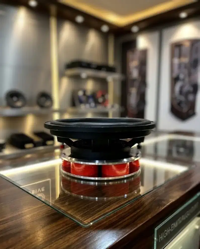 Speaker subwoofer FOCAL Audium 30WX Polyglass 12inch  ( hi end )