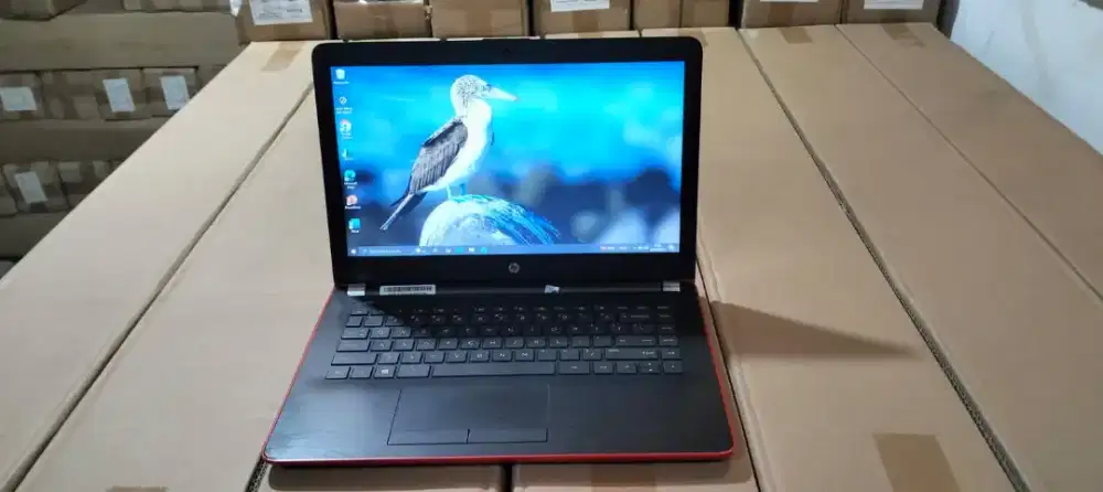 Jual...laptop hp windows 10, for office