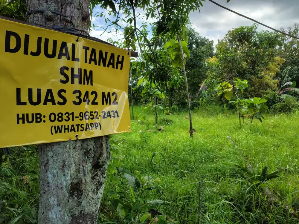 Dijual tanah Pranggong, Andong SHM Luas 342 m2