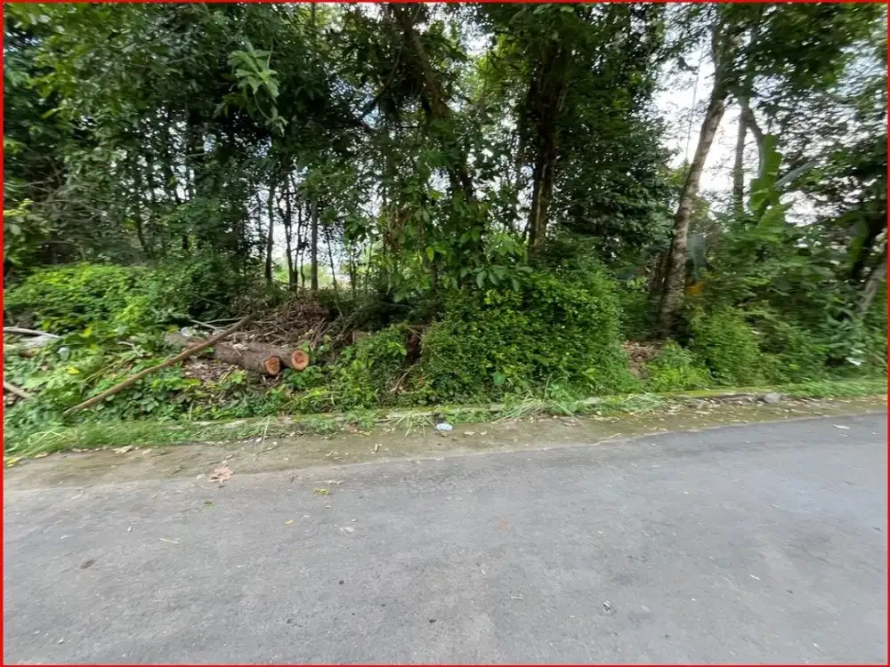 Dekat Candi Prambanan Jual Tanah Jogja Kalasan