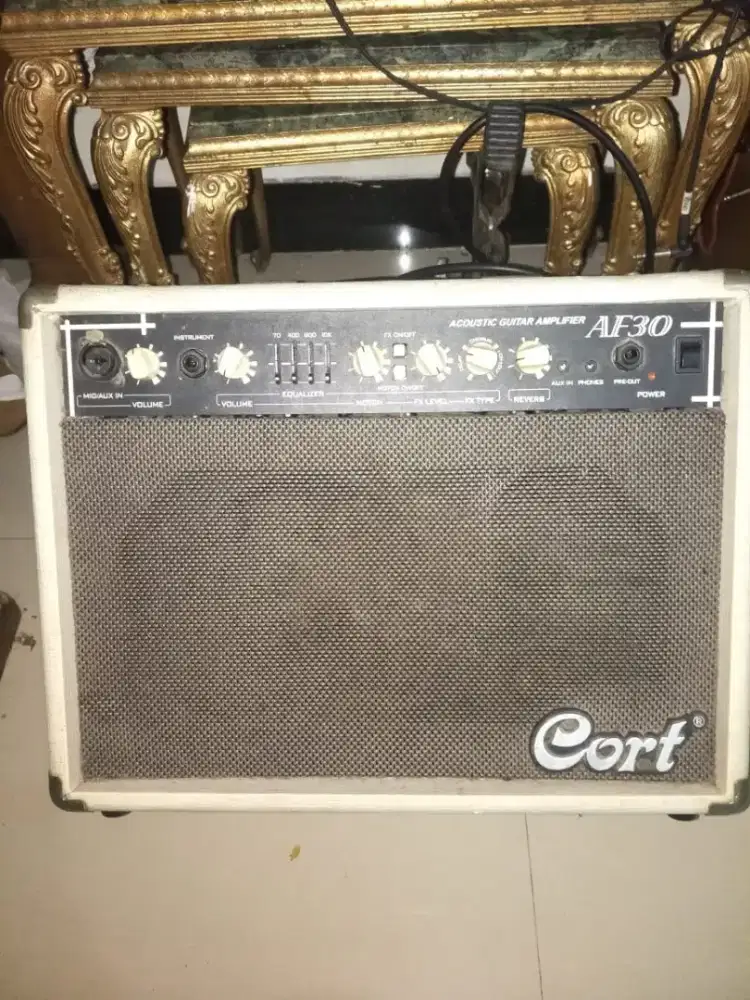 Amply cort Guitar accoustick + vocal  Af30