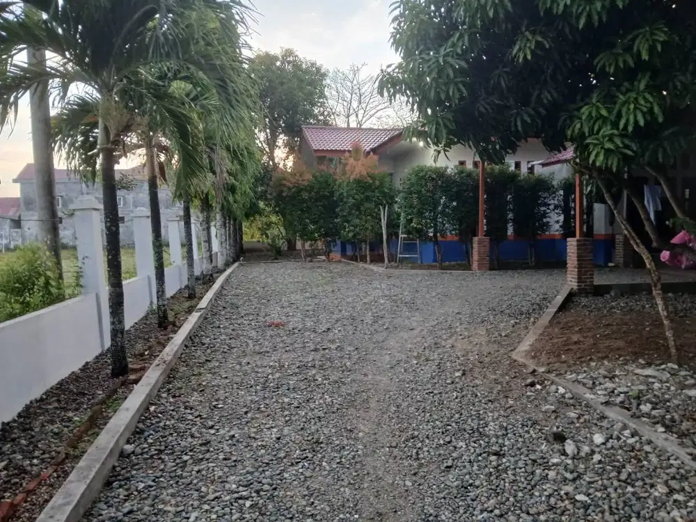 Rumah disewakan