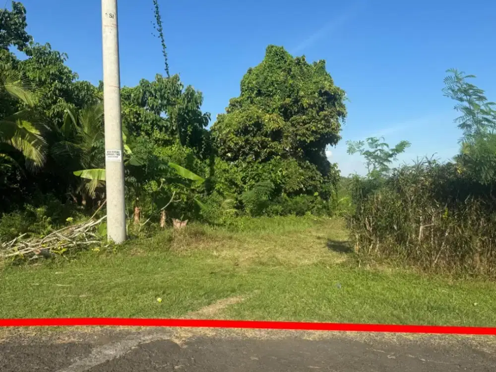 Land With River and Forest View in Pengeragoan, Pekutatan, Jembrana
