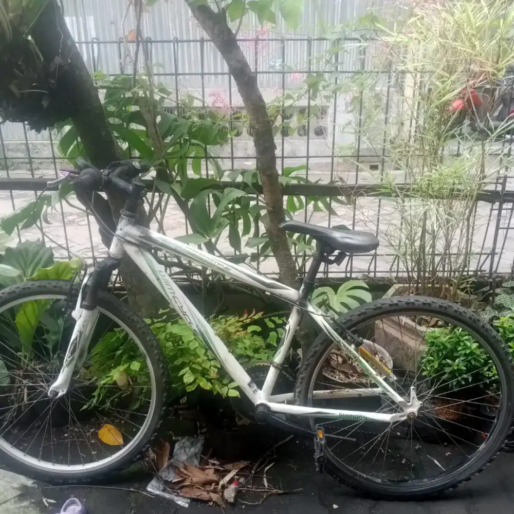 MTB wymcycle ring 26