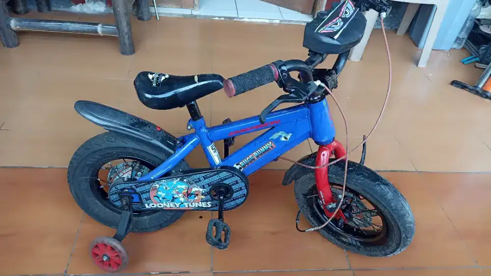 Sepeda anak untuk 5 tahunan