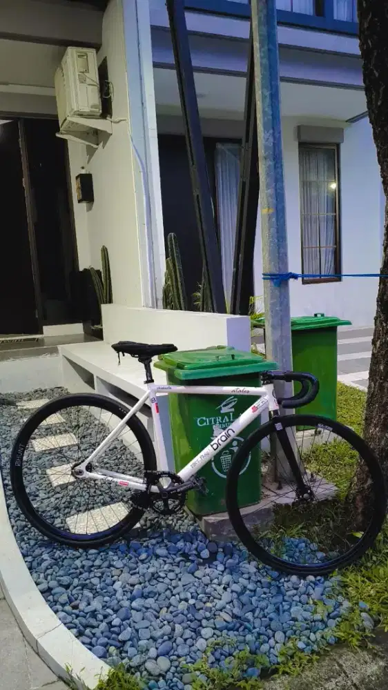 Sepeda Fixie Brain Atales sz 50