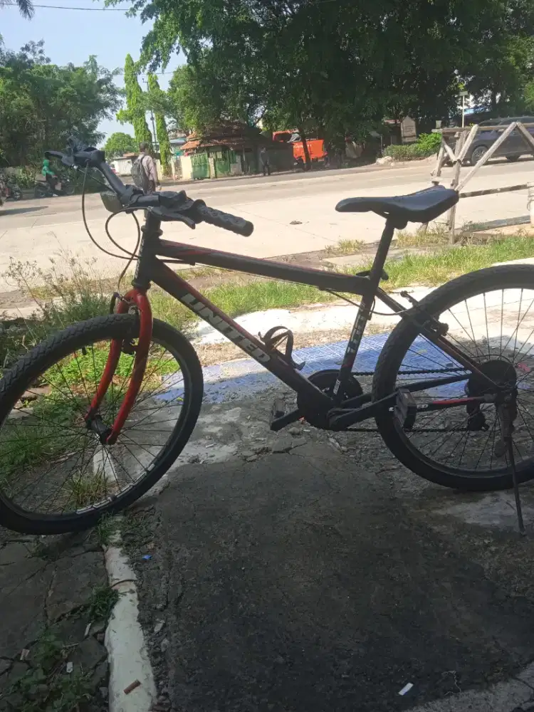 Speda united monanza 1.00