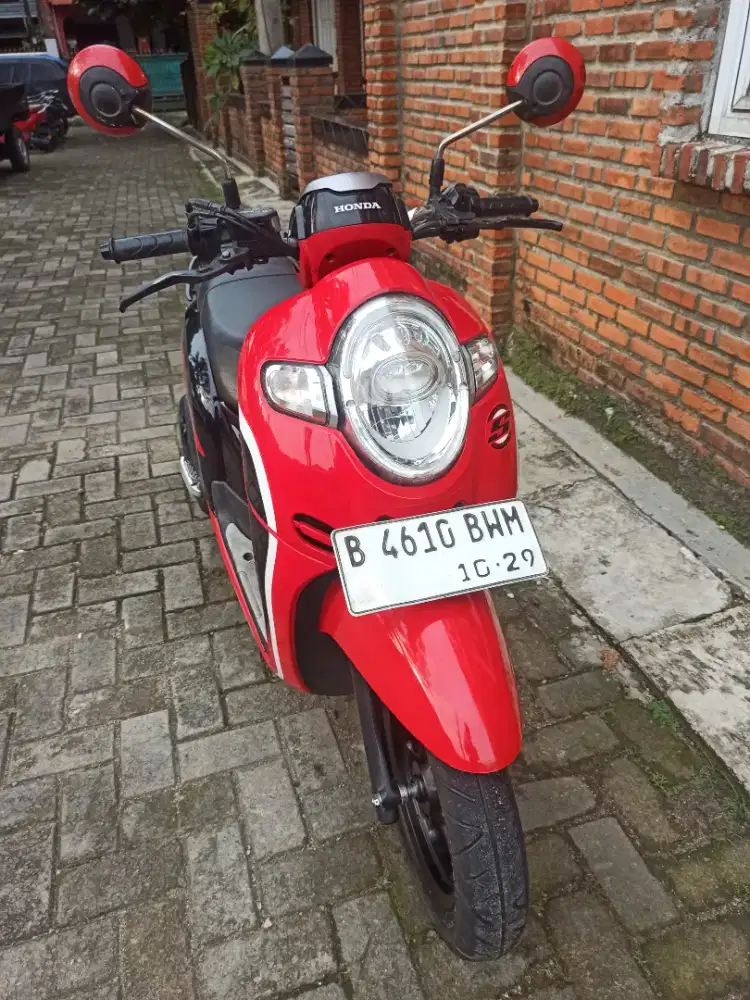 Honda Scoopy Sporty Donat Muluss 2019 Pajak On Panjang