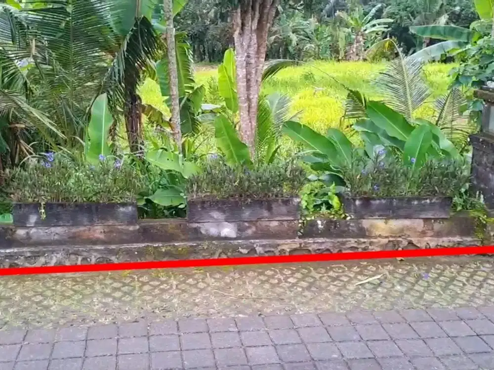 Land for sale in Tourist Area at Kedewatan Ubud Gianyar, close to Campuhan Ridge Walk and Monkey Forest, Ubud