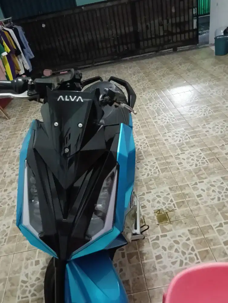 Jual Alva cervo tahun 2024