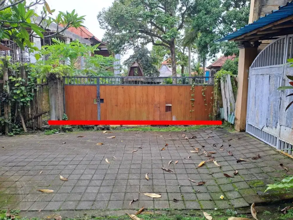 6 Are Land in Kedewatan Ubud Gianyar With Beautiful Rice Field, close to Campuhan Ridge Walk and Monkey Forest, Ubud