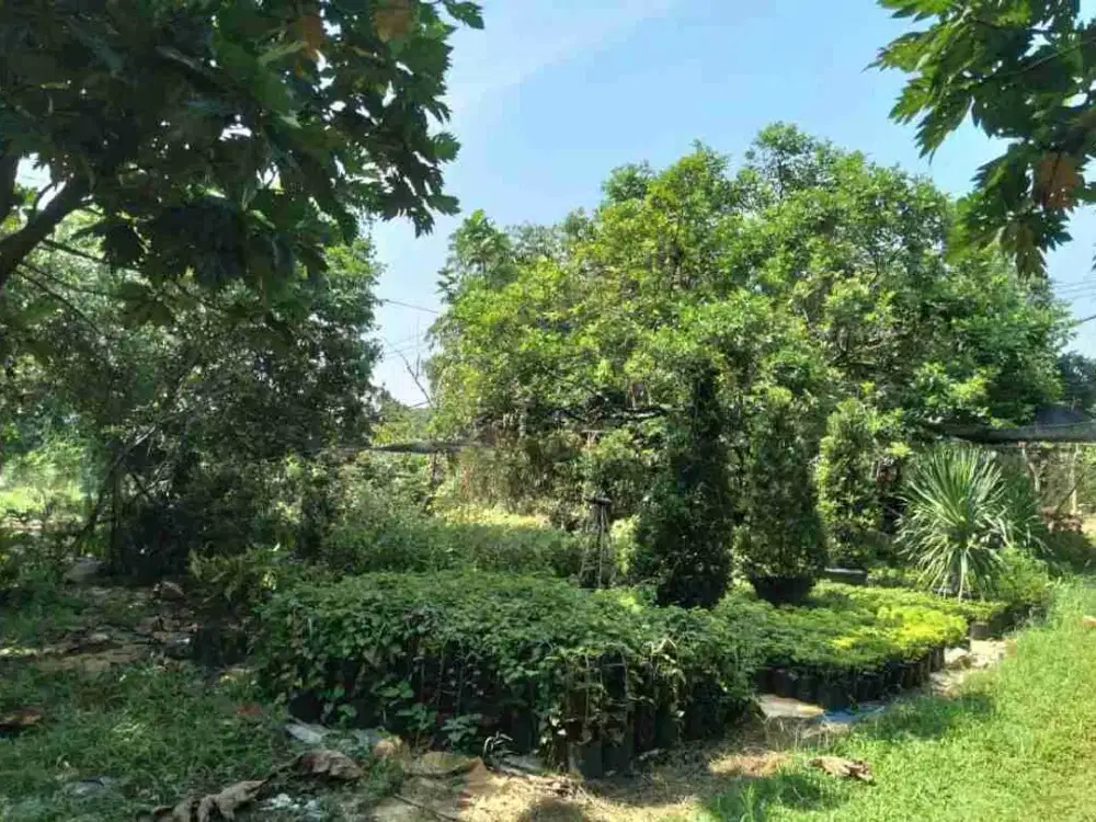Tanah di Parung Bogor Luas 5000M
