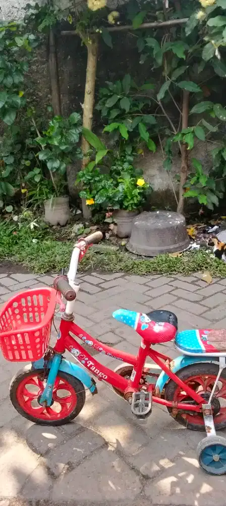 Jual sepeda anak