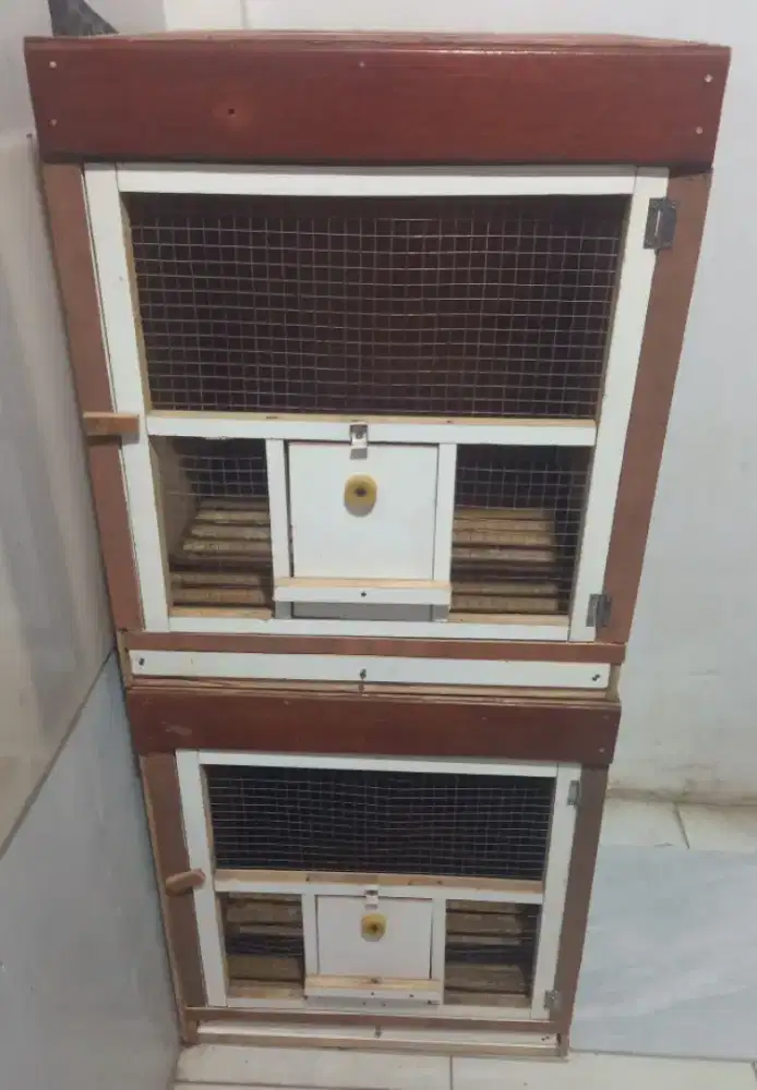 Kandang merpati semi macan T60XL50CM
