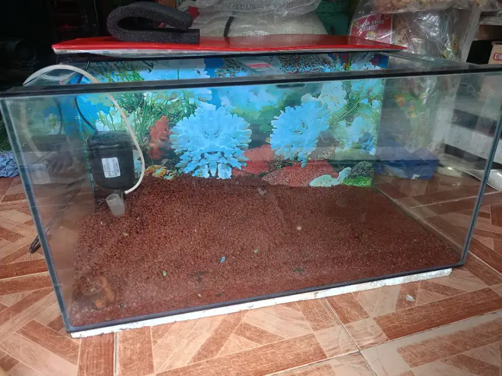 Jual aquarium full set