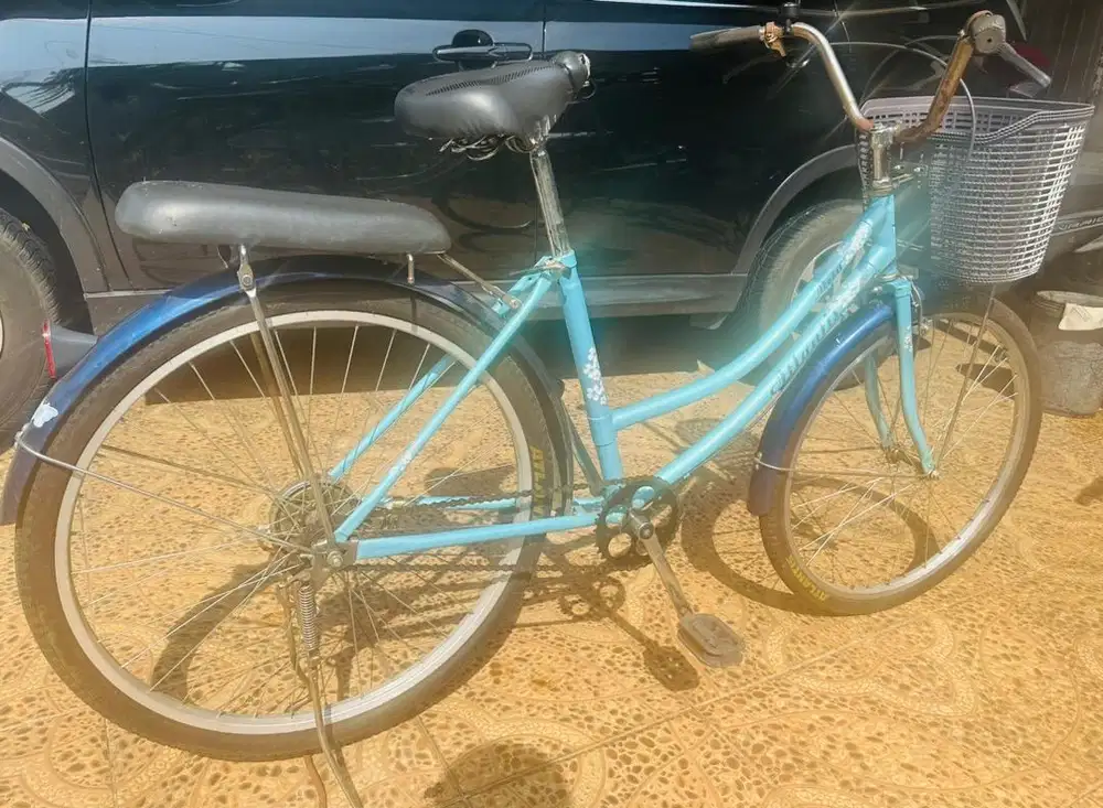 Sepeda Mini Dewasa