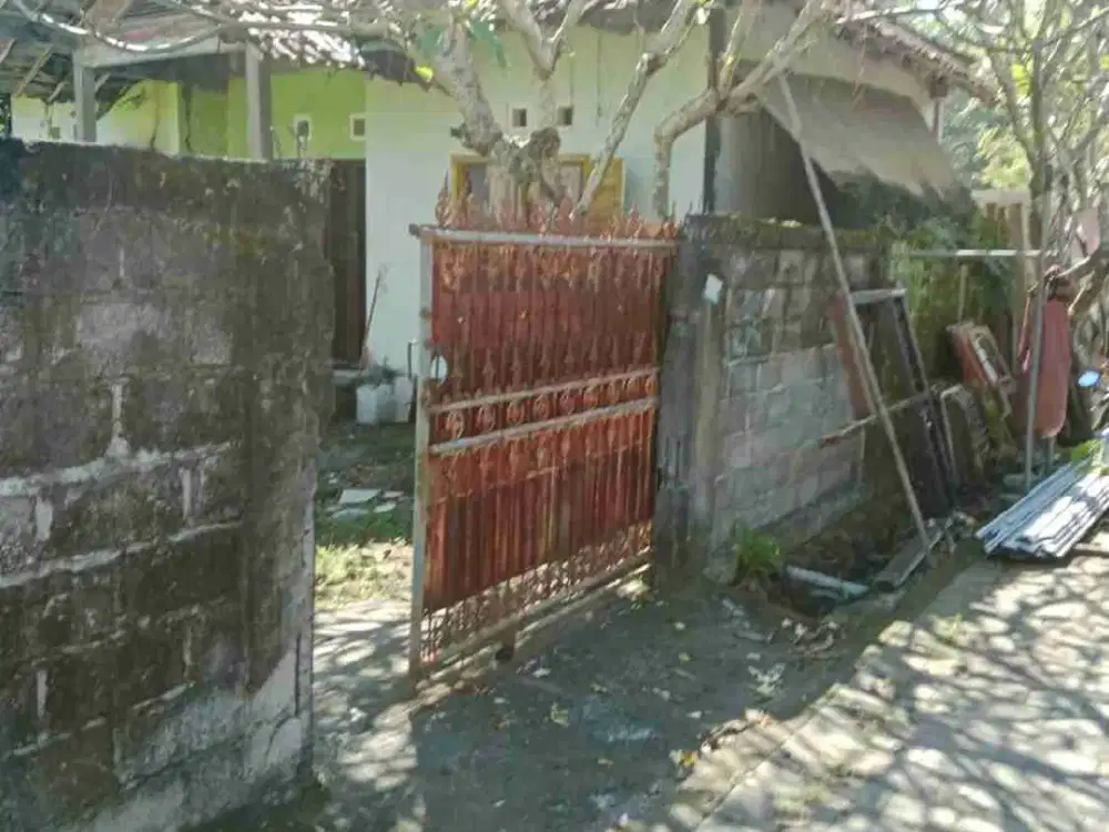 Jual Tanah Luas 3ara/300m² Lokasi jl Pendidikan Sidakarya SHM & Zona Kuning area Tidak Banjir. cocok untuk jadikan koskosan