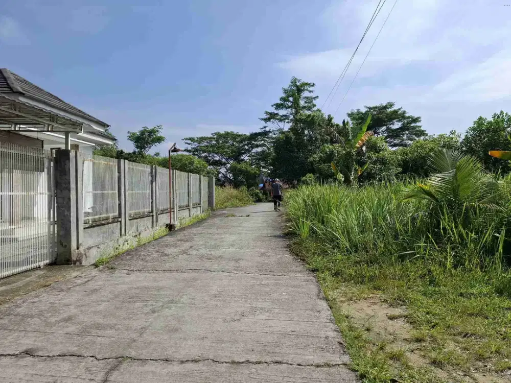 Tanah di jalan parit indah  masuk 100m si belakang Indomaret Permata Ratu
