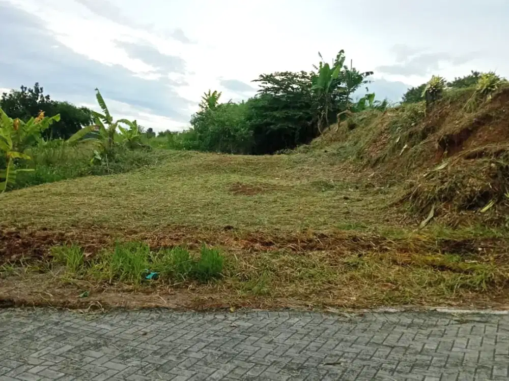 Dijual Tanah Murah Kavling Cigadung Ligar Dago View Bandung