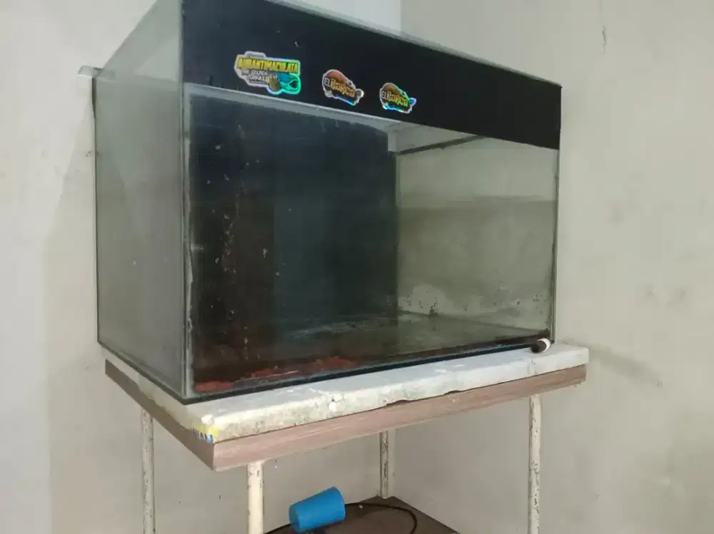 Akuarium BT ikan predator lain