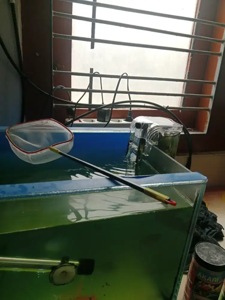 Aquarium kecil satu set