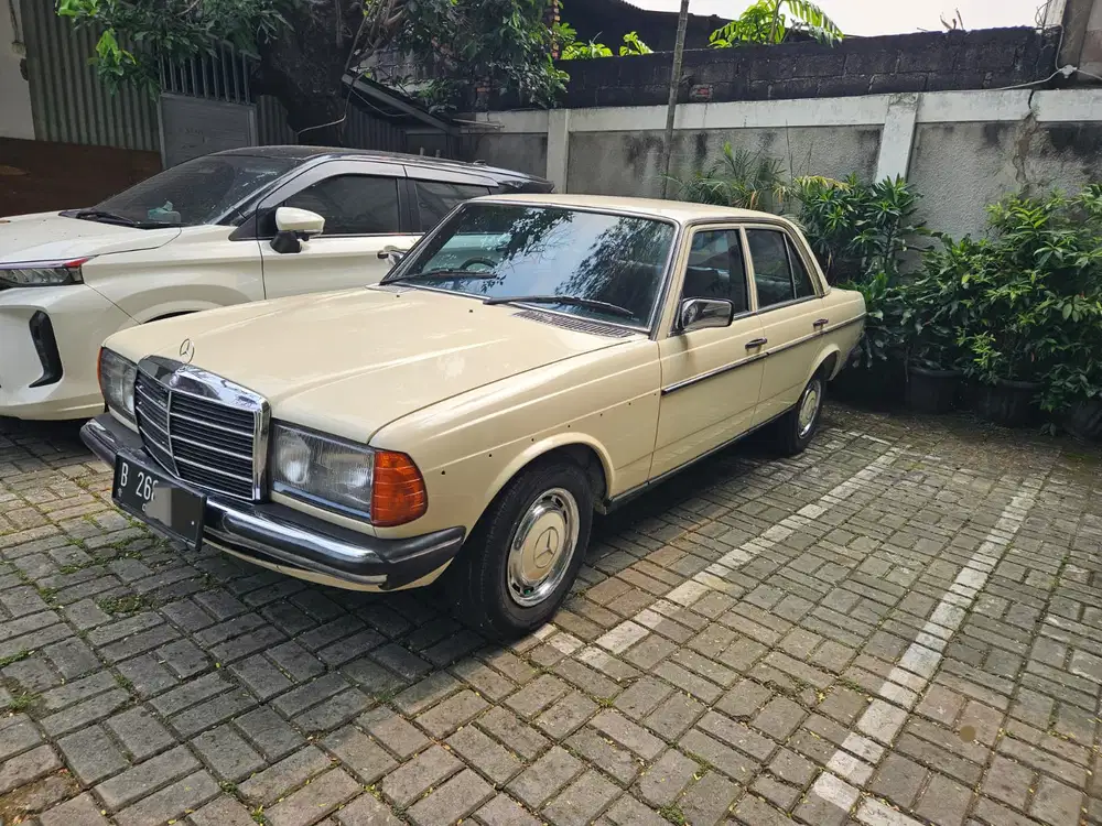 Mercedes-Benz Tiger 1980 Bensin