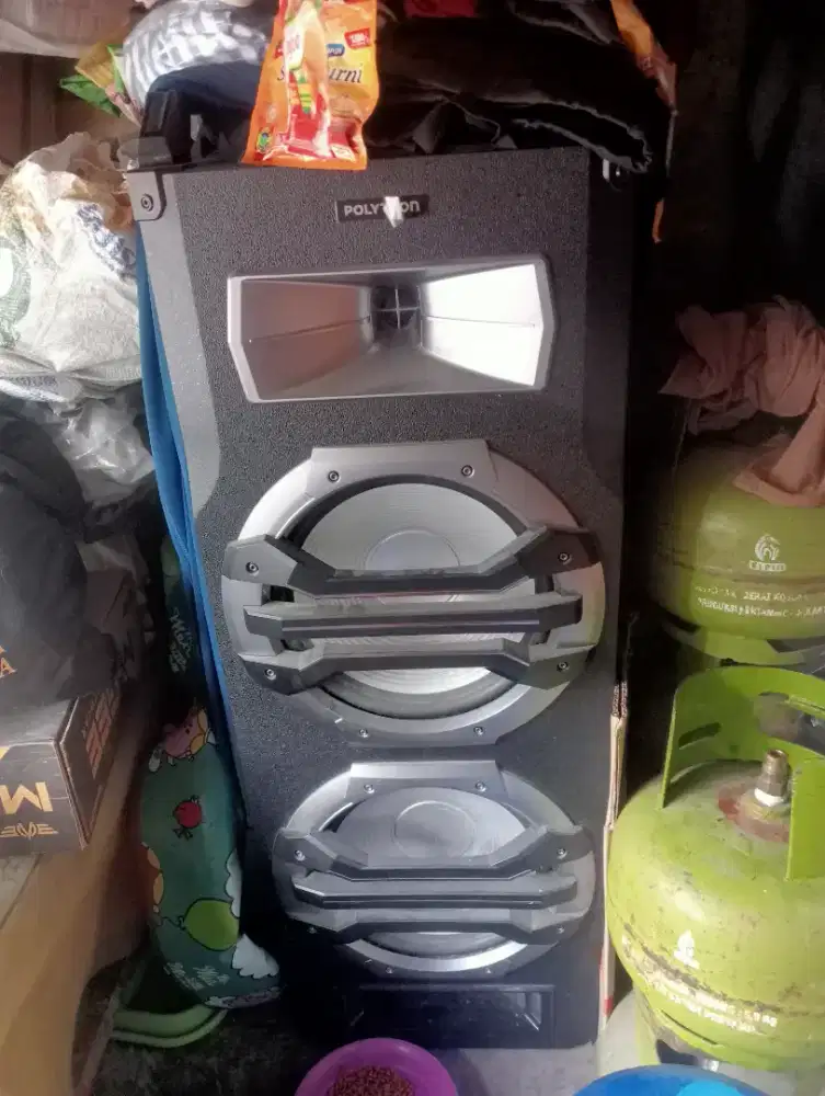 Speaker Polytron