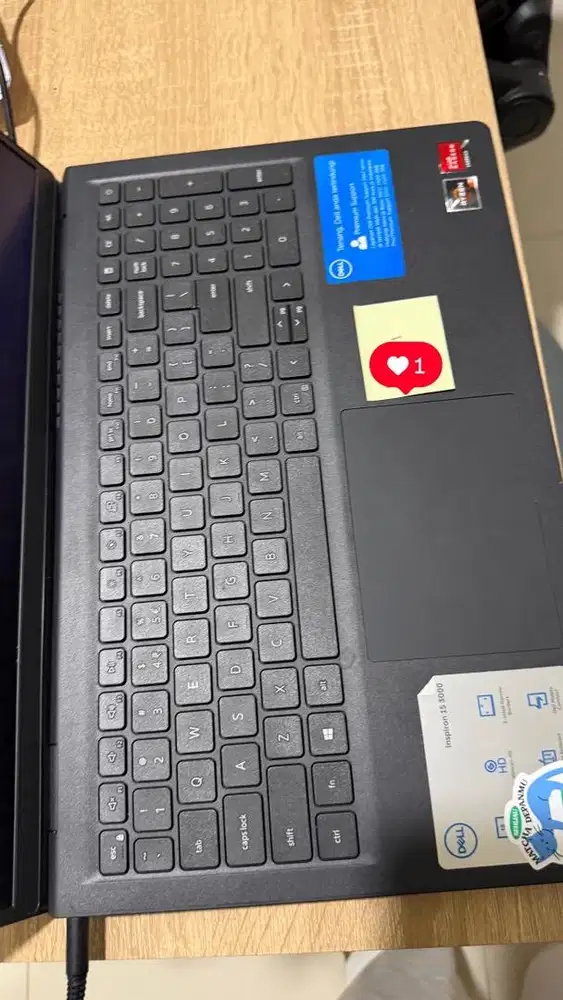 Dell 3515 Ryzen 3 8/512