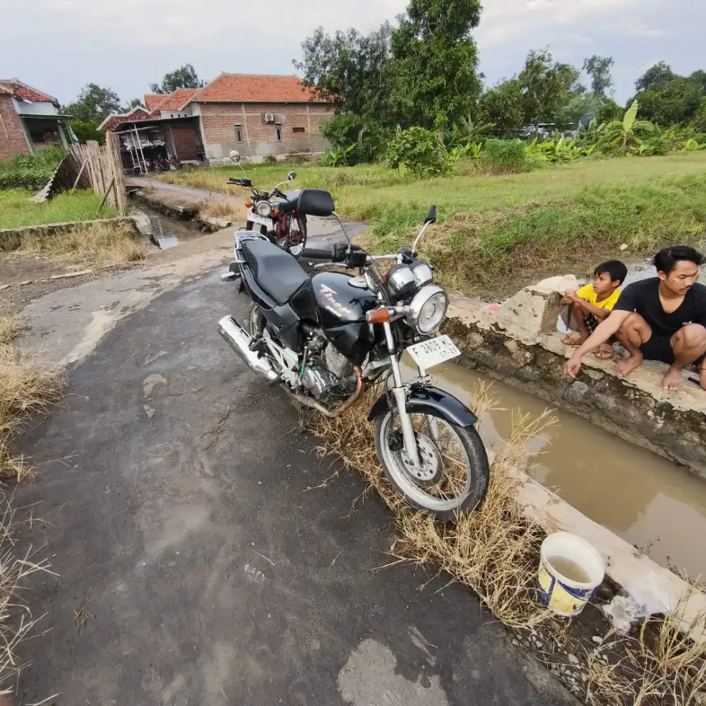 Jual BU Tiger pemakaian tiap hari.