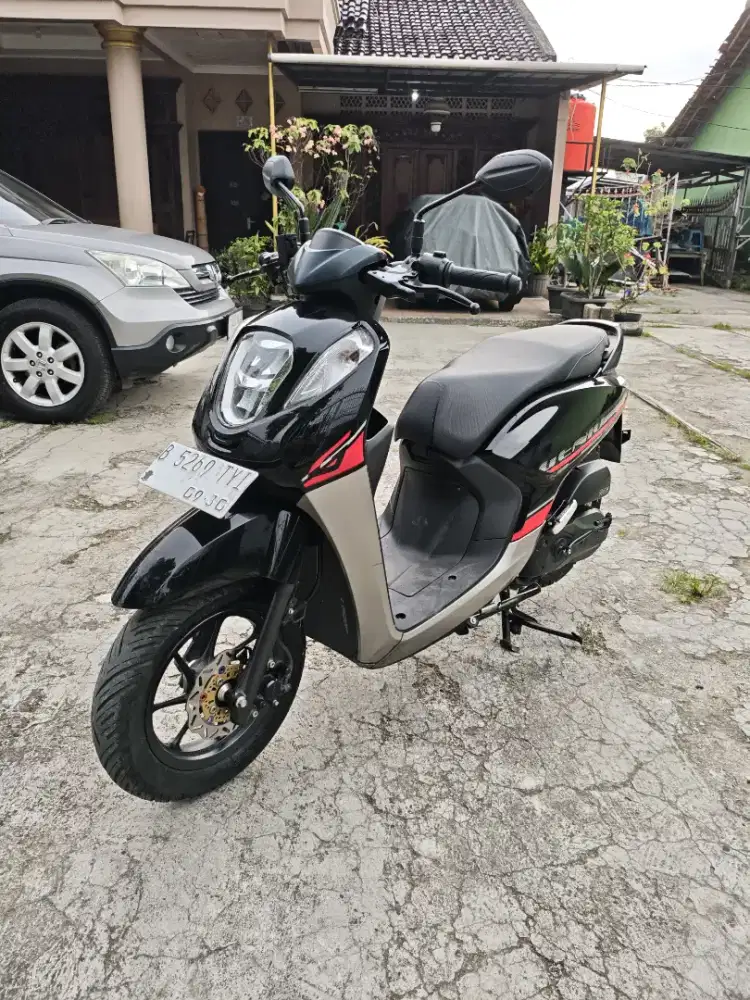 Honda genio 2025 new