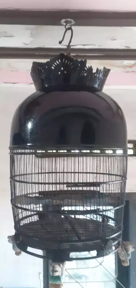 Sangkar kutut kayu dempul bagus siap pakai