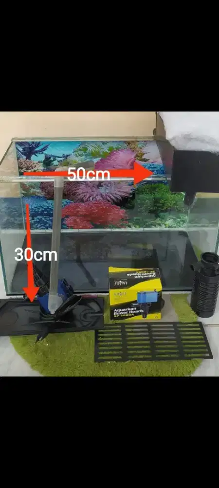 aquarium ikan hias