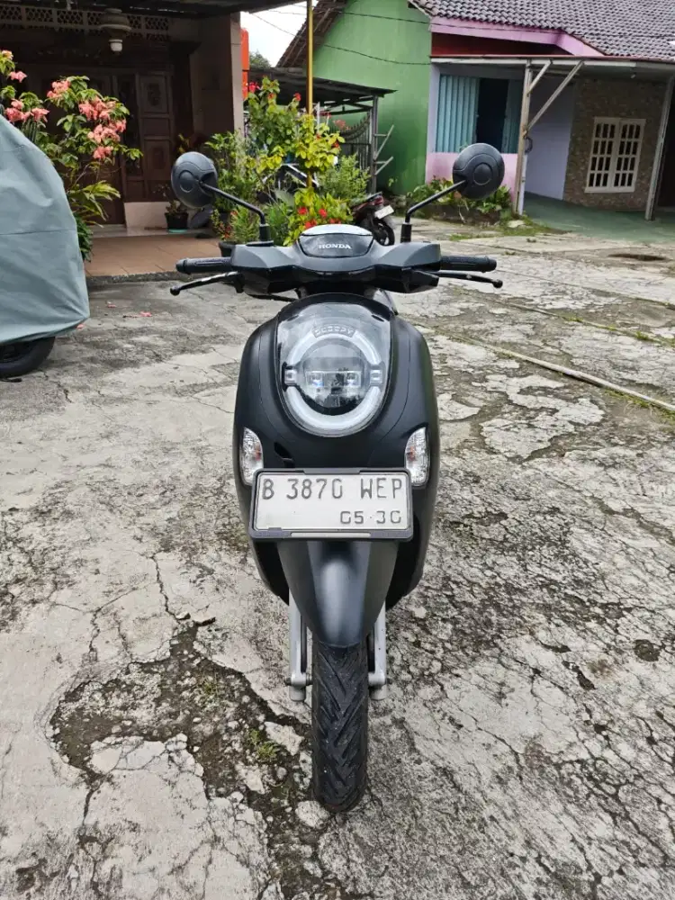 Honda scoopy 2024 new