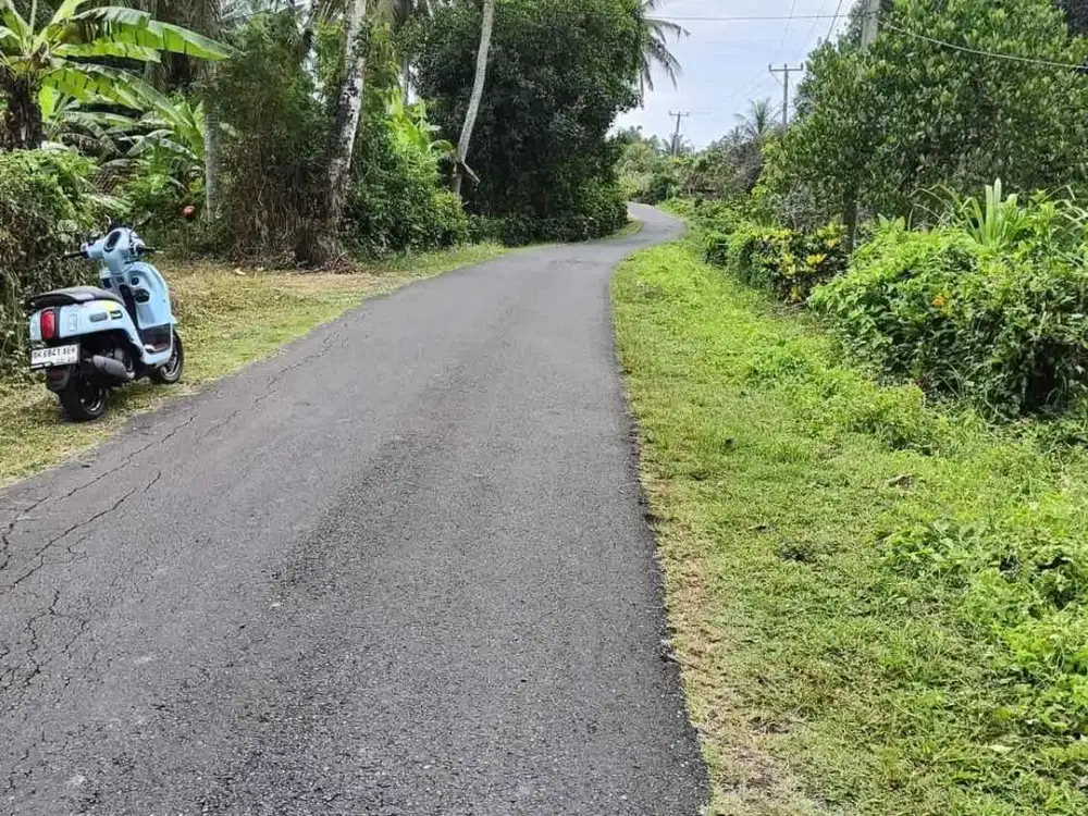 jual tanah lumbung selemadeg tabanan dekat pantai soka