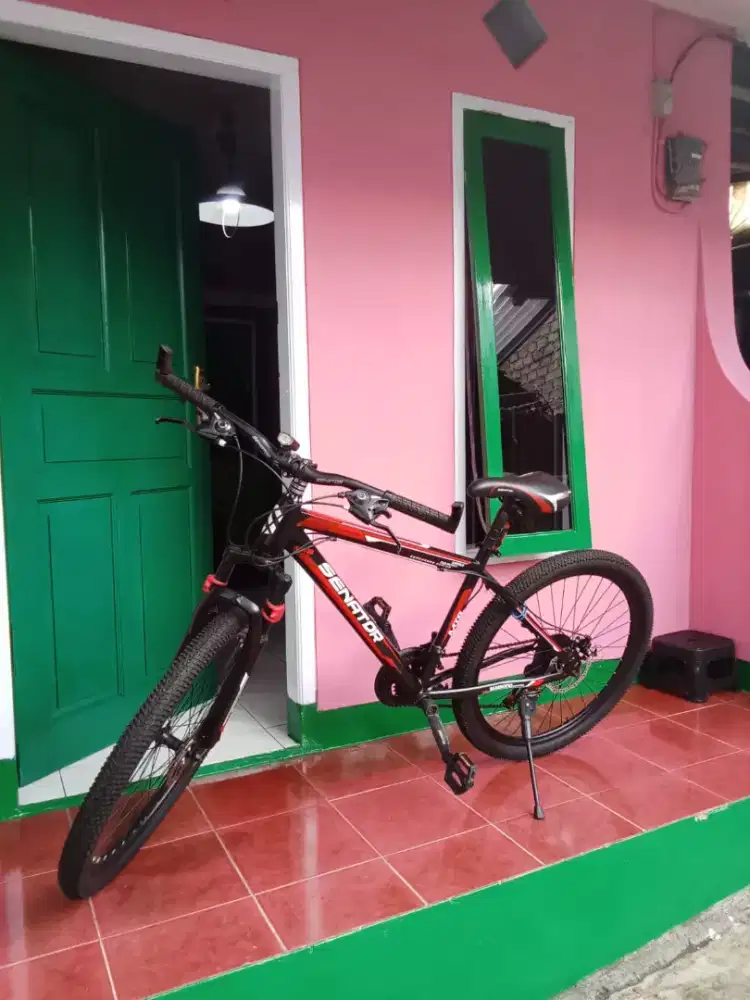 Sepeda gunung mtb anak dewasa