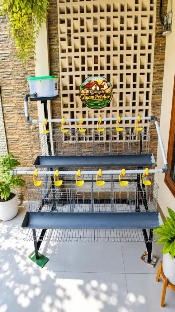 KANDANG AYAM PETELUR