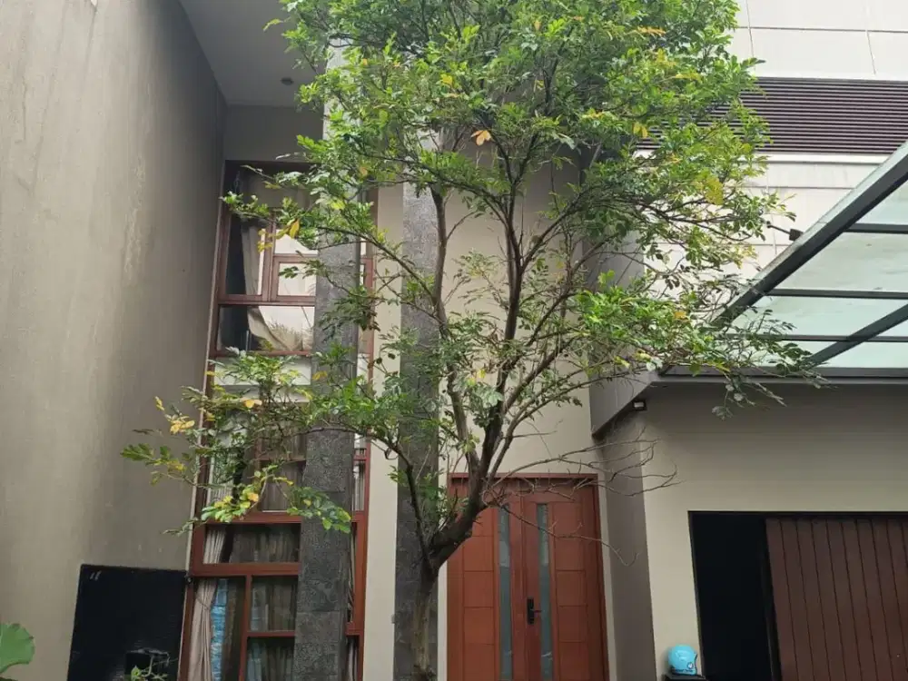 DIJUAL CEPAT RUMAH LUX 2 LANTAI NUANSA VILLA  BALI DENGAN KOLAM RENANG  SAYAP MOCH. RAMDAN  Nyaman, Cahaya & Sirkulasi Udara Sangat Baik  Full Furnis