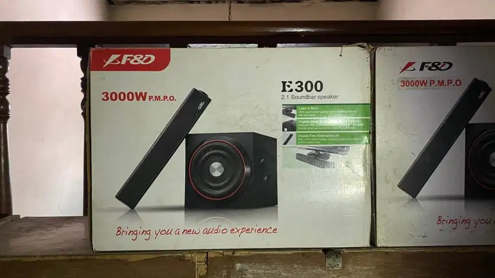 FnD e300 speaker