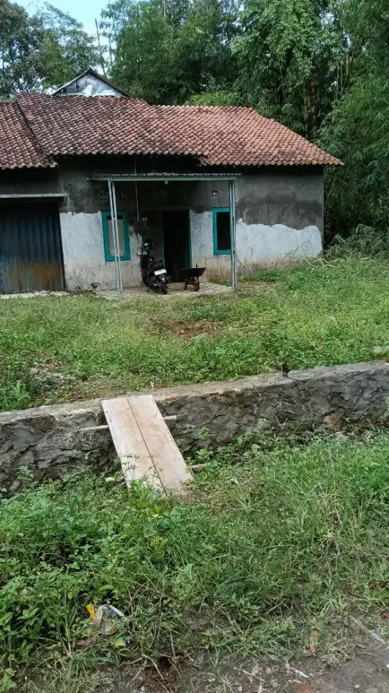 Dijual rumah peternakan