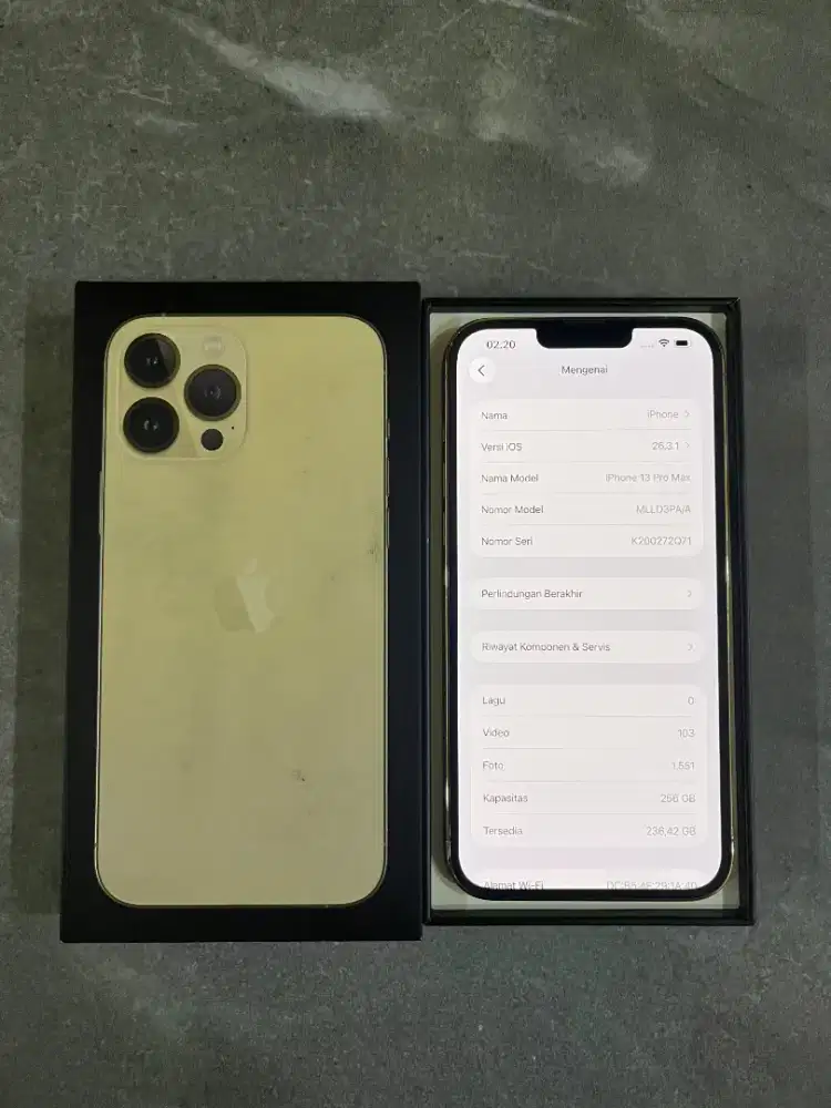 iPhone 13 pro max