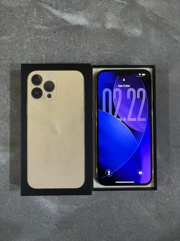 iPhone 13 pro max