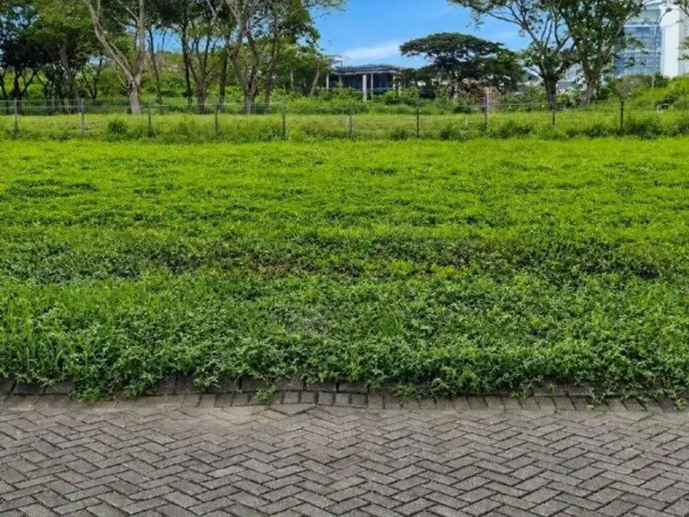 Kavling Bukit Golf International, Citraland STRATRGIS, ROW JALAN 3 MOBIL