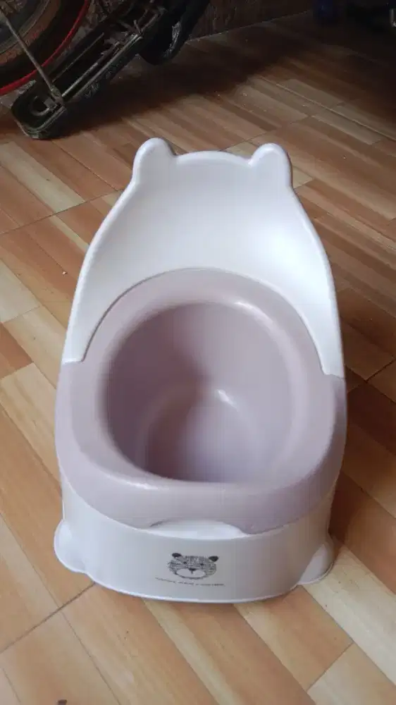 Toilet training