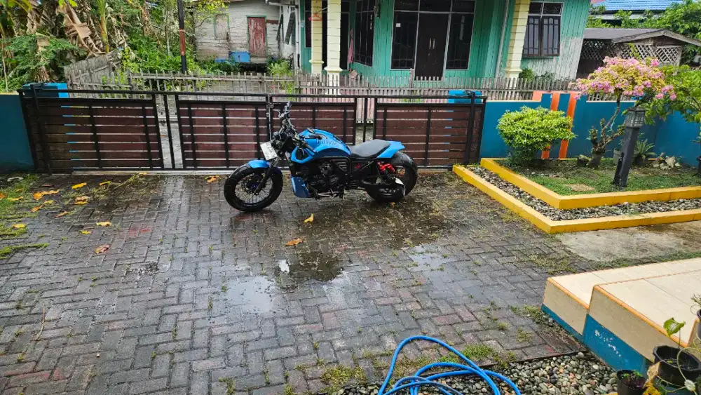 Ninja 250 Custom
