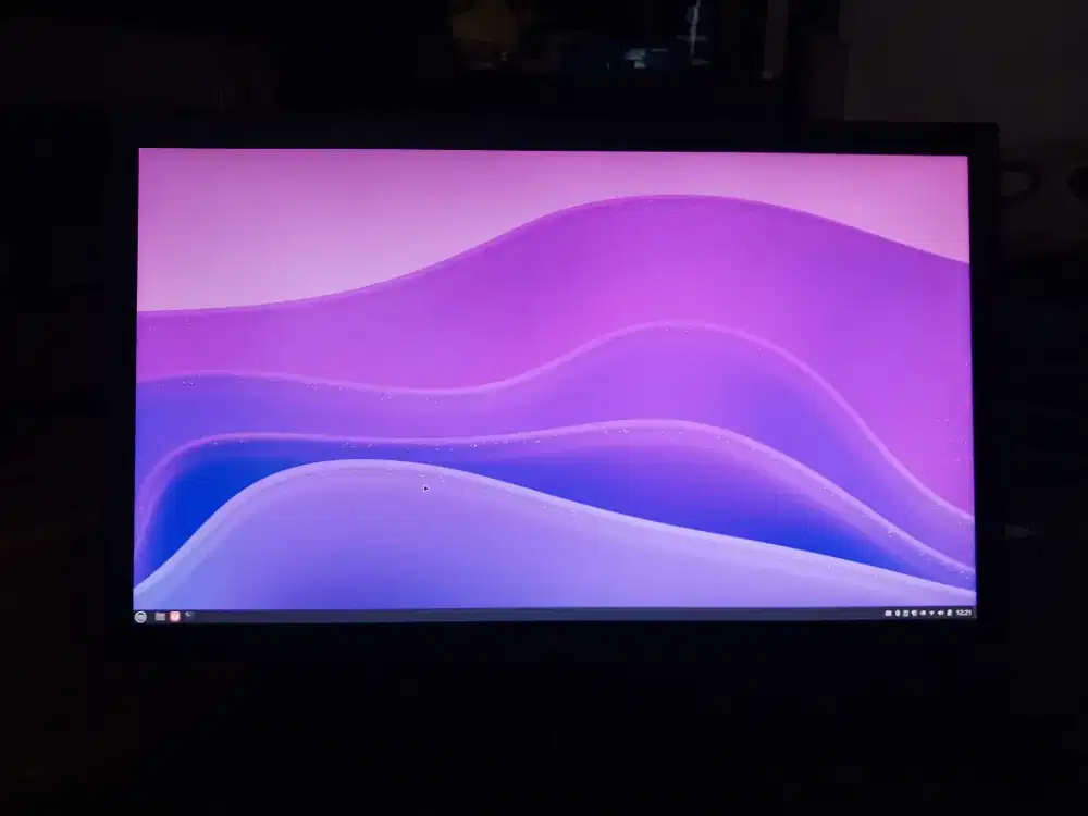 MONITOR LG 22 inch