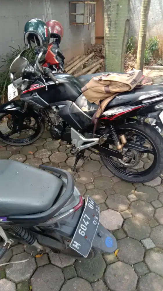 Honda Tiger 2013