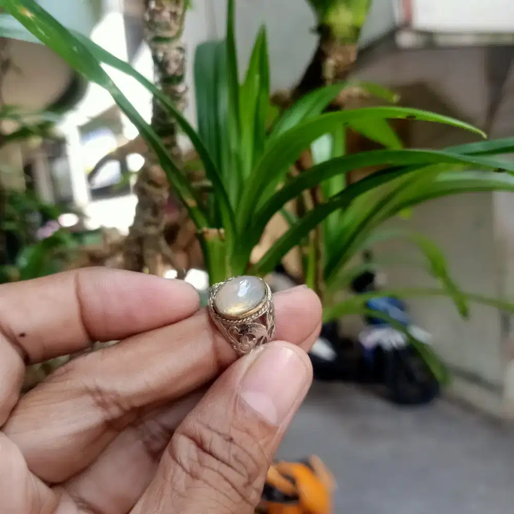 di jual batu kalimaya